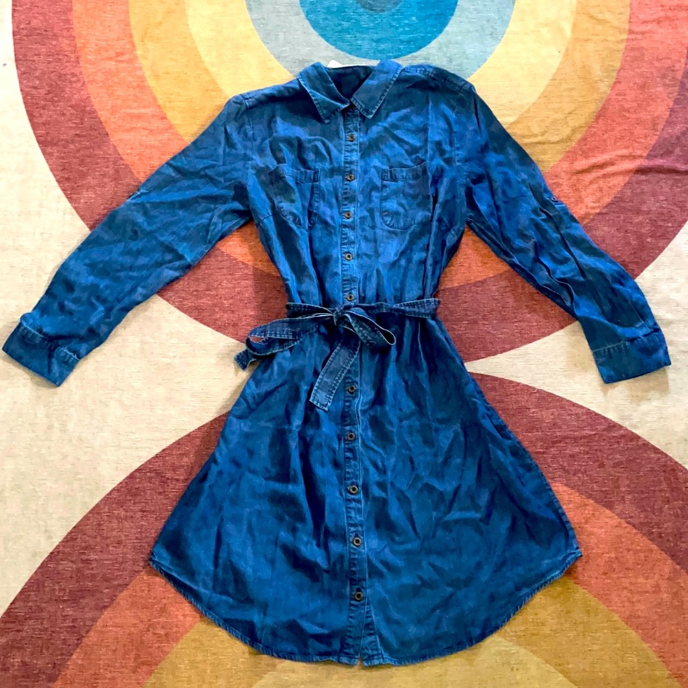 Appleseed’s Tencel/Denim shirt dress